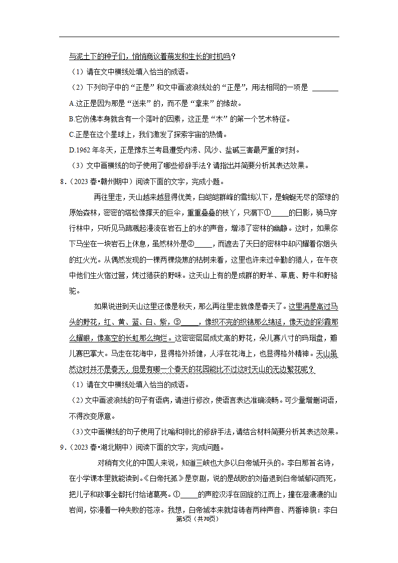 2023年高考语文专题复习之语言文字应用（含解析）.doc第5页