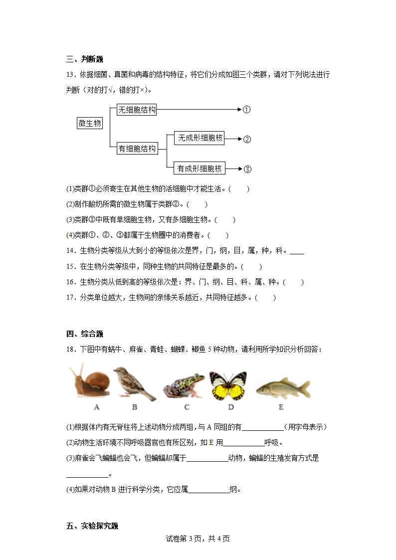 第五章 生物的分类和鉴别 练习 七年级生物上册冀教版（含答案）.doc第3页