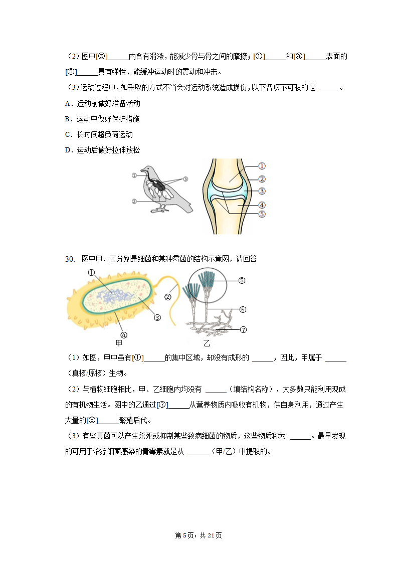 2022-2023学年天津五十中八年级（上）期末生物试卷（含解析）.doc第5页