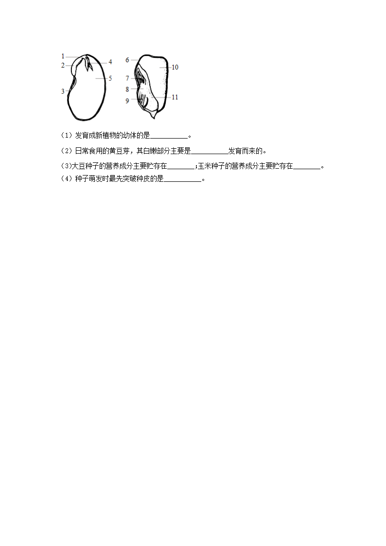 人教版七年级生物上册期末考试卷（word版含解析）.doc第7页