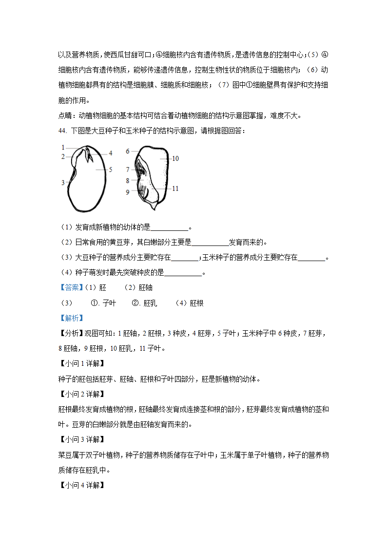 人教版七年级生物上册期末考试卷（word版含解析）.doc第29页