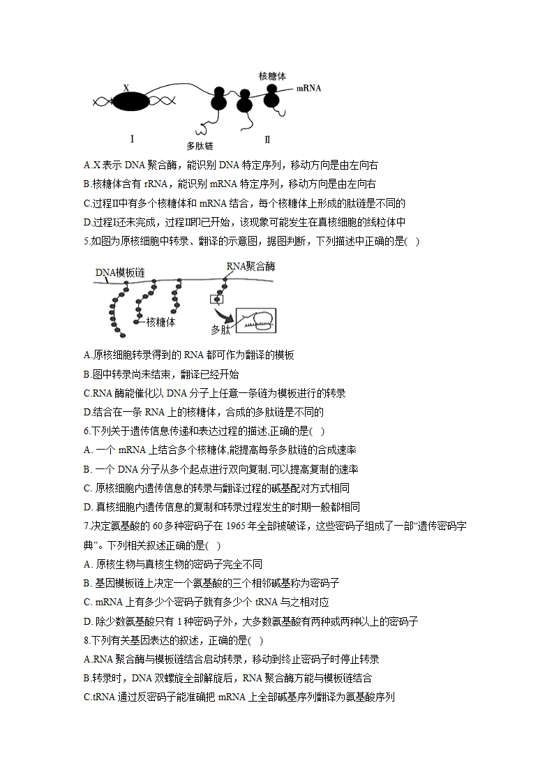 2023届高考生物一轮复习 练习题  基因的表达 （含答案）.doc第2页