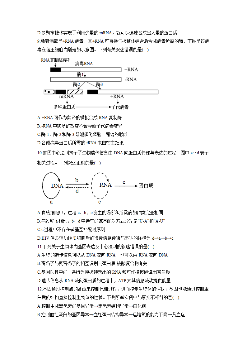 2023届高考生物一轮复习 练习题  基因的表达 （含答案）.doc第3页