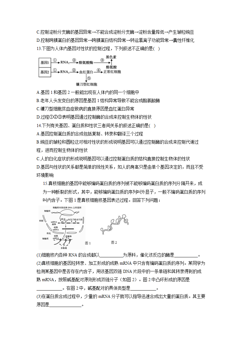 2023届高考生物一轮复习 练习题  基因的表达 （含答案）.doc第4页