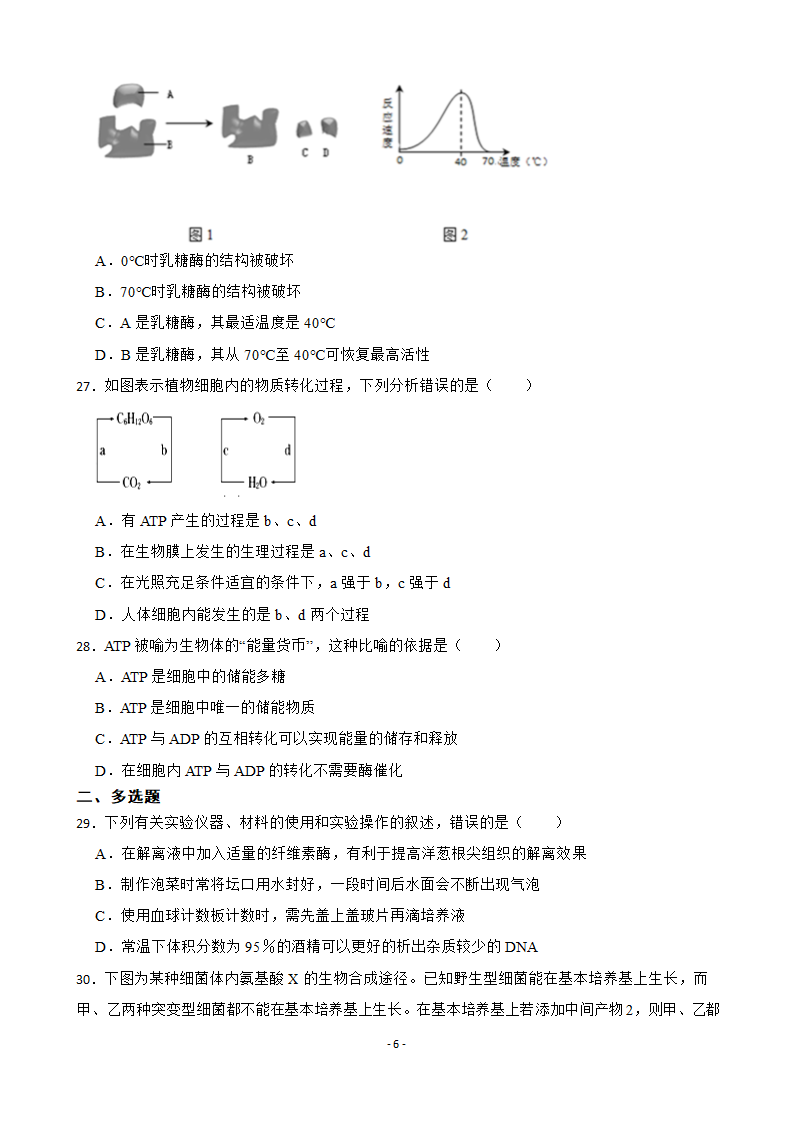 2023届高考生物二轮专题：酶与ATP练习题（含答案）.doc第6页