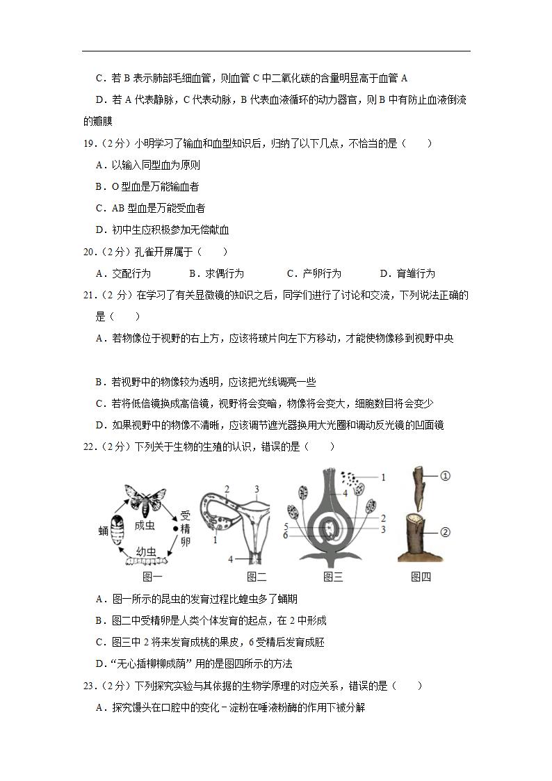 2022初中生物结业水平测试提升模拟 （word版 含答案）.doc第4页