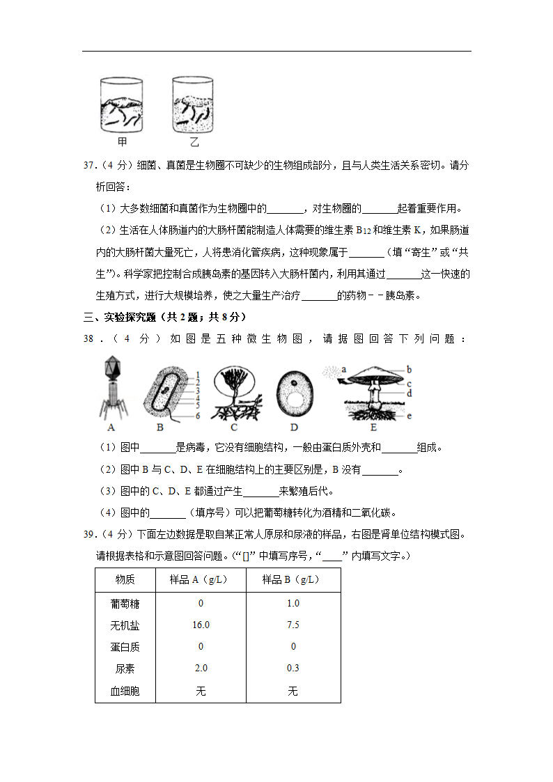 2022初中生物结业水平测试提升模拟 （word版 含答案）.doc第8页