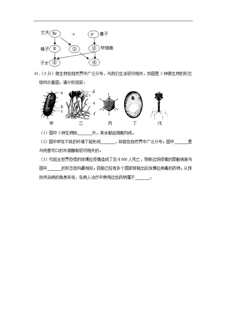 2022初中生物结业水平测试提升模拟 （word版 含答案）.doc第10页