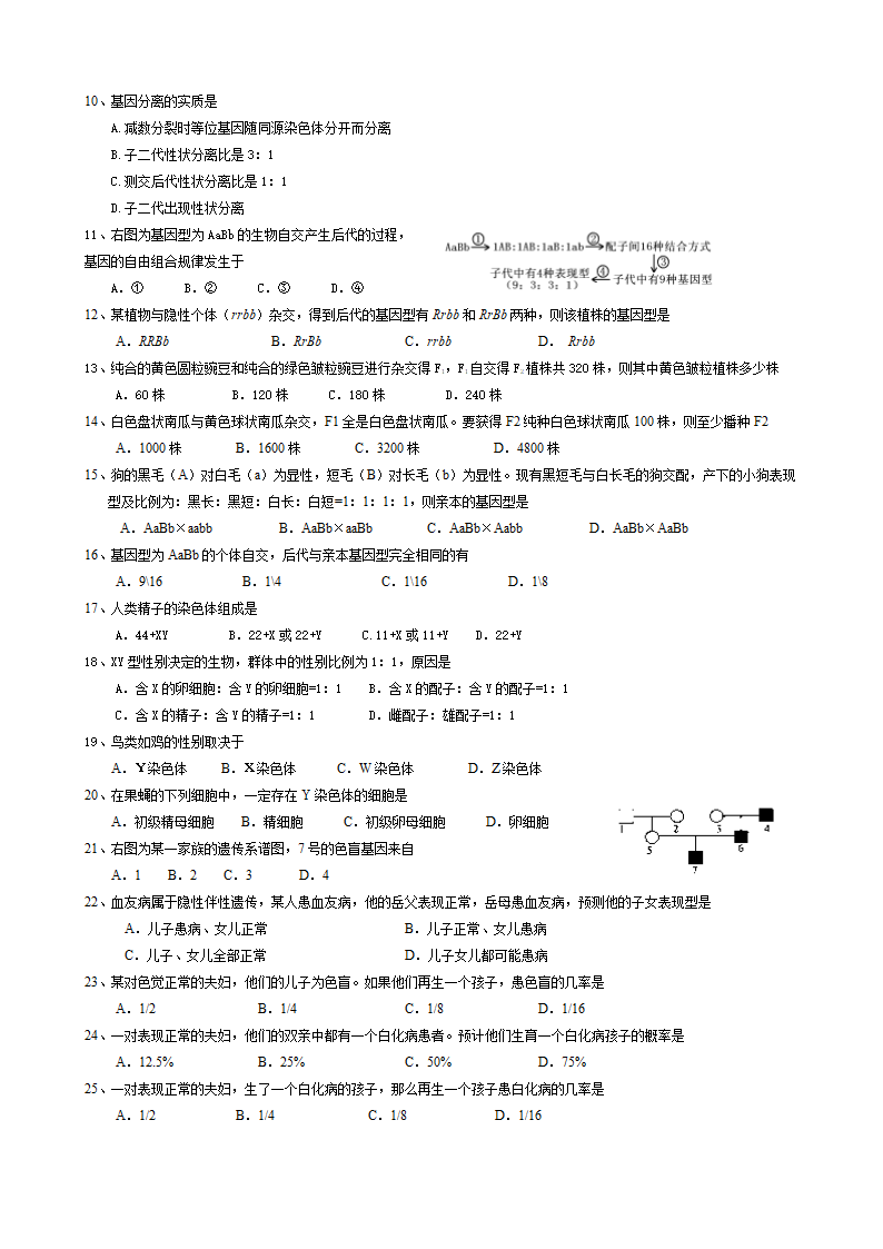 上海高考生物合格考专题复习练习：13遗传   含答案.doc第2页