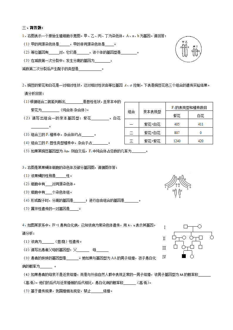 上海高考生物合格考专题复习练习：13遗传   含答案.doc第3页