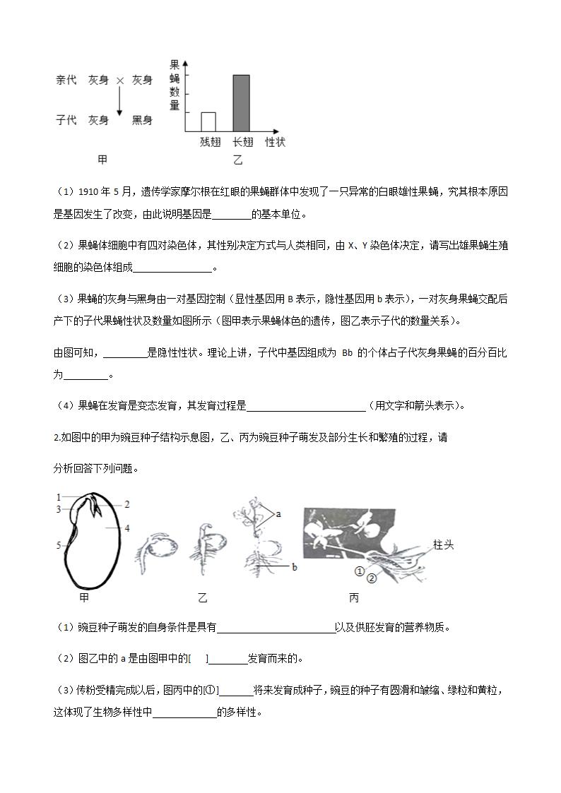 4.4.5  生物的变异 同步练习 -济南版八年级上册生物（含答案）.doc第3页