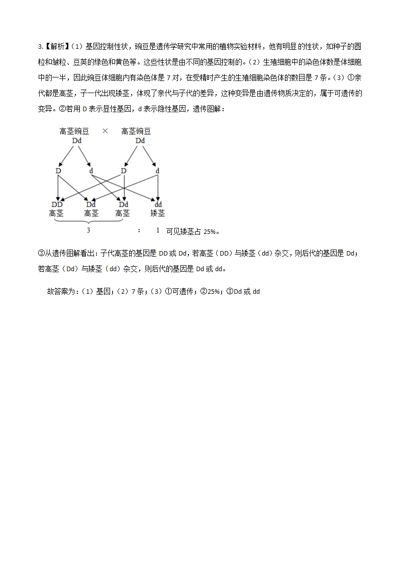 4.4.5  生物的变异 同步练习 -济南版八年级上册生物（含答案）.doc第10页