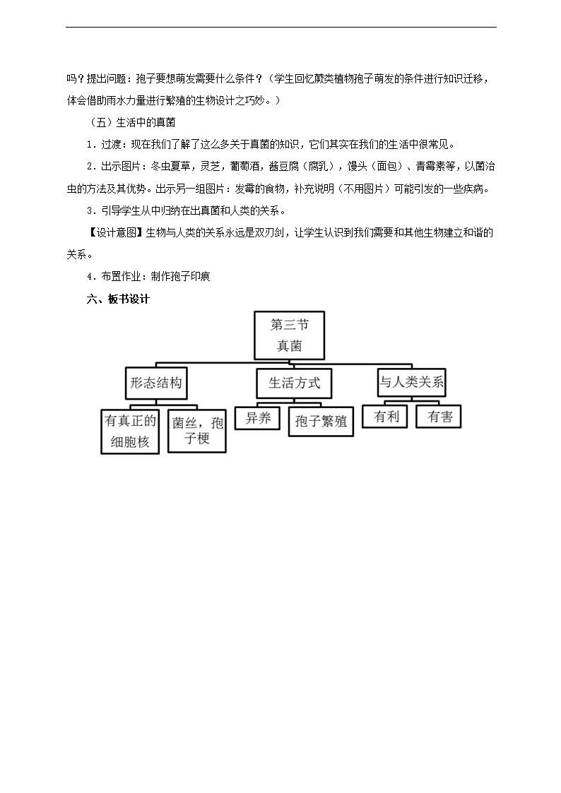 人教版生物八上第五单元第四章第三节《真菌》教学设计.doc第3页