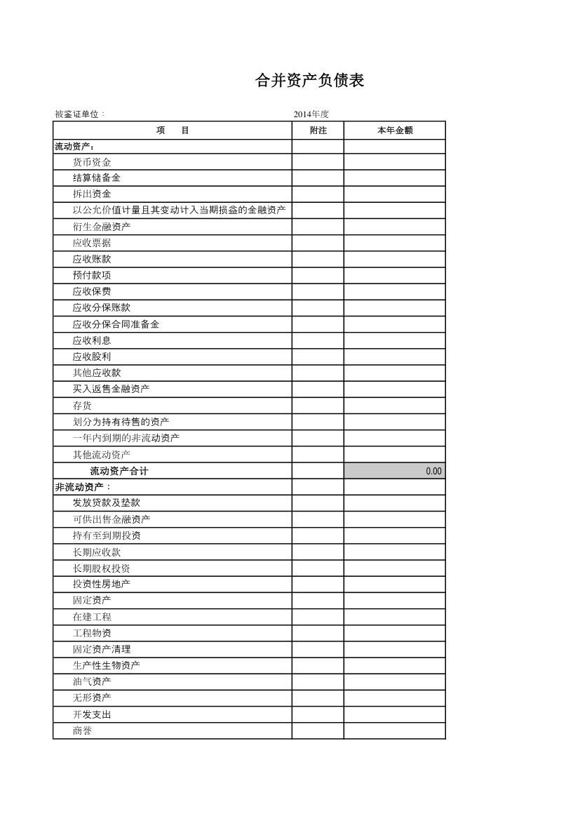 合并财务报表与母公司财务报表模板第1页