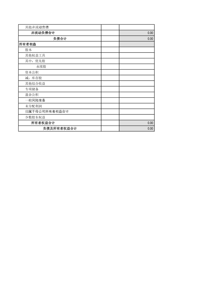 合并财务报表与母公司财务报表模板第3页