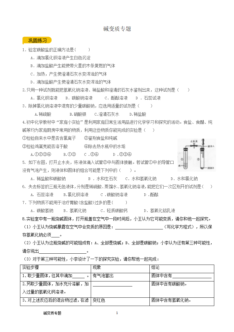 08碱变质 专题复习测试 2021年中考化学总复习（机构用）.doc第1页