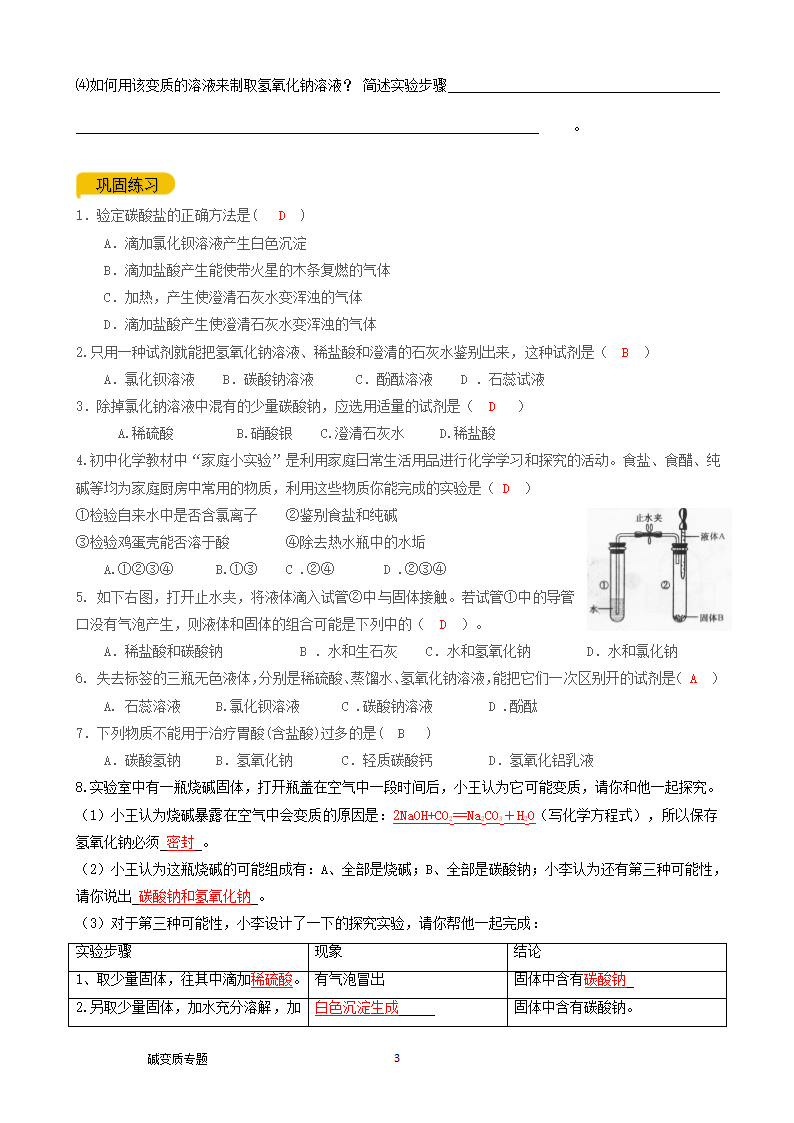 08碱变质 专题复习测试 2021年中考化学总复习（机构用）.doc第3页