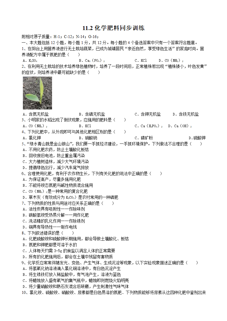 人教版九年级化学下册11.2 化学肥料 同步训练（含答案）.doc第1页