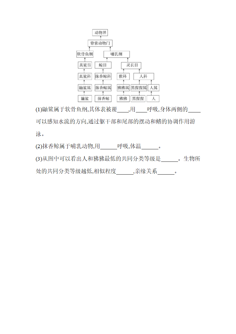 苏教版八年级上册生物5.14.4生物的分类同步练习（含解析）.doc第7页