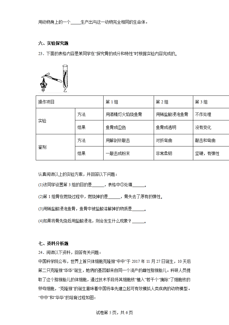 2.1.4细胞的生活同步练习（含解析）人教版生物七年级上册.doc第5页