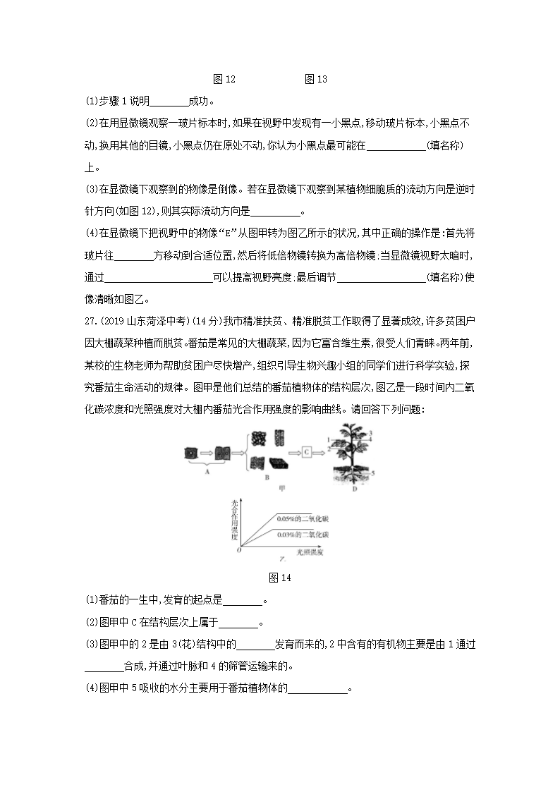 生物七年级上册人教版 期末测试(一)(word版含解析）.doc第7页