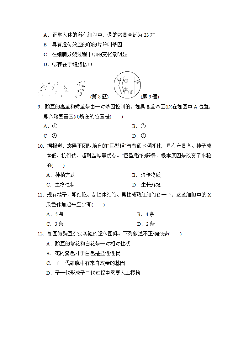 第七单元第二章　生物的遗传与变异达标测试卷（含答案）.doc第2页