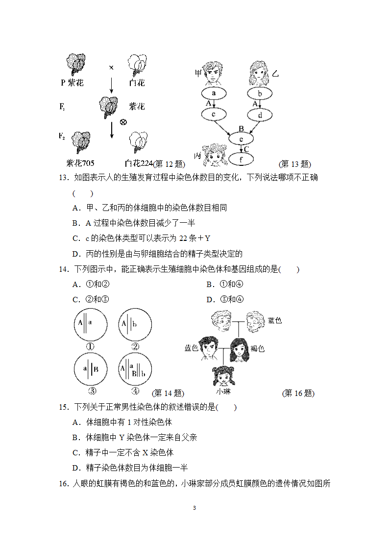 第七单元第二章　生物的遗传与变异达标测试卷（含答案）.doc第3页