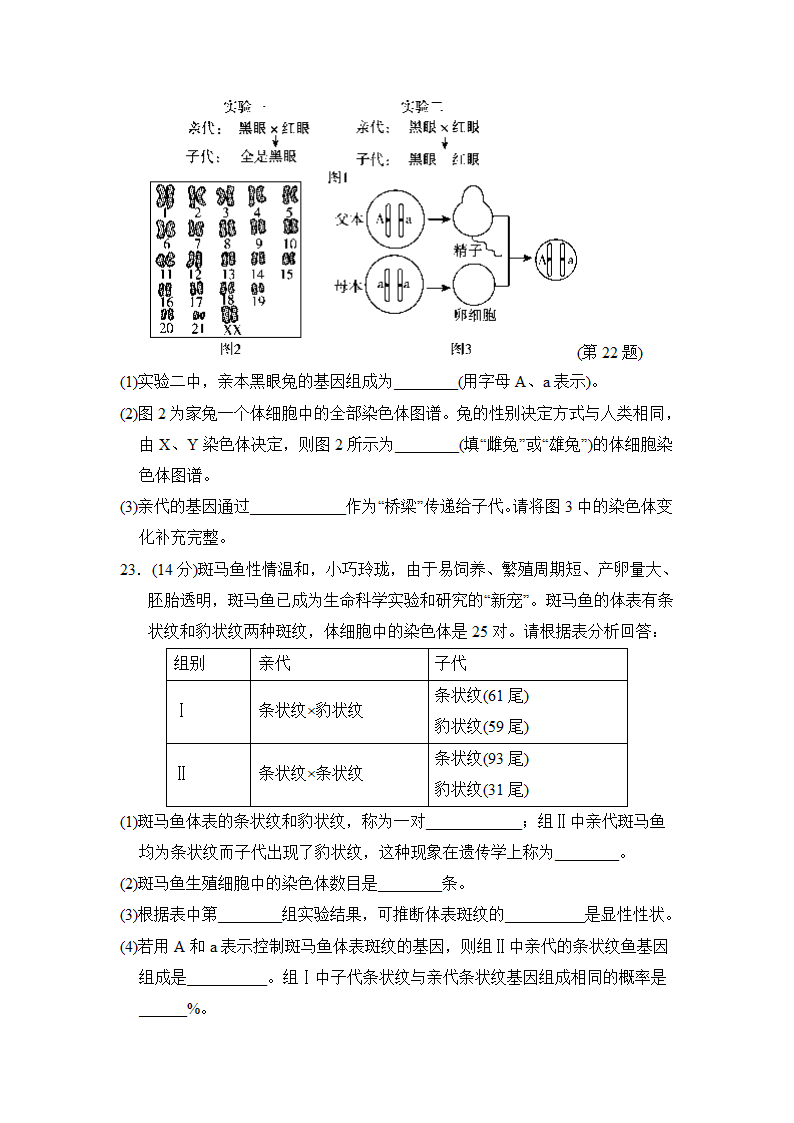 第七单元第二章　生物的遗传与变异达标测试卷（含答案）.doc第6页