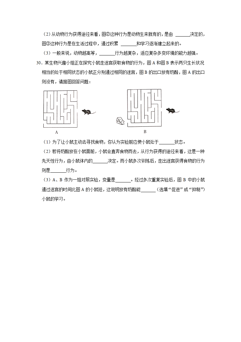 北师大版生物八年级上册第16章 动物的行为 训练题.doc第6页