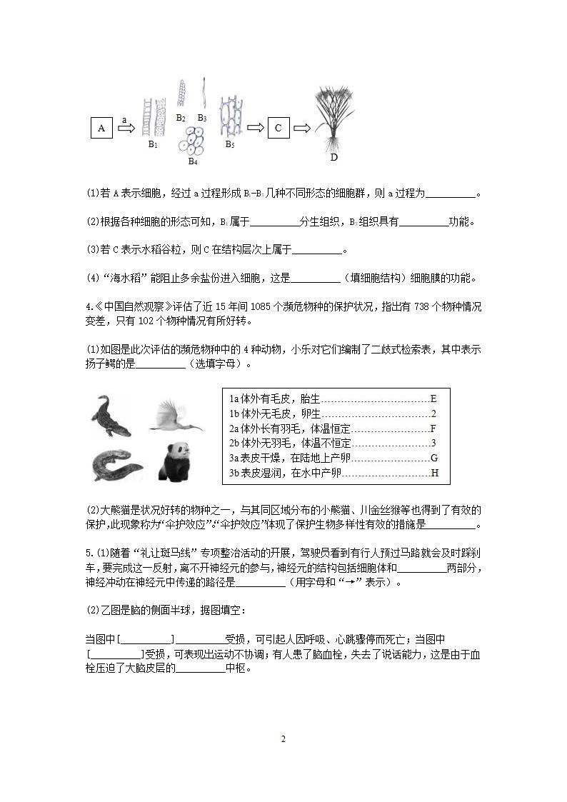 2021浙教版科学中考第一轮复习分类题型训练（十九）：生物填空（9）.doc第2页