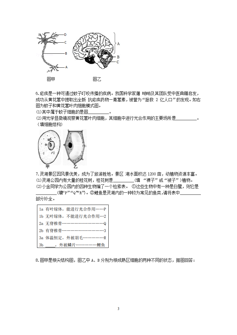 2021浙教版科学中考第一轮复习分类题型训练（十九）：生物填空（9）.doc第3页