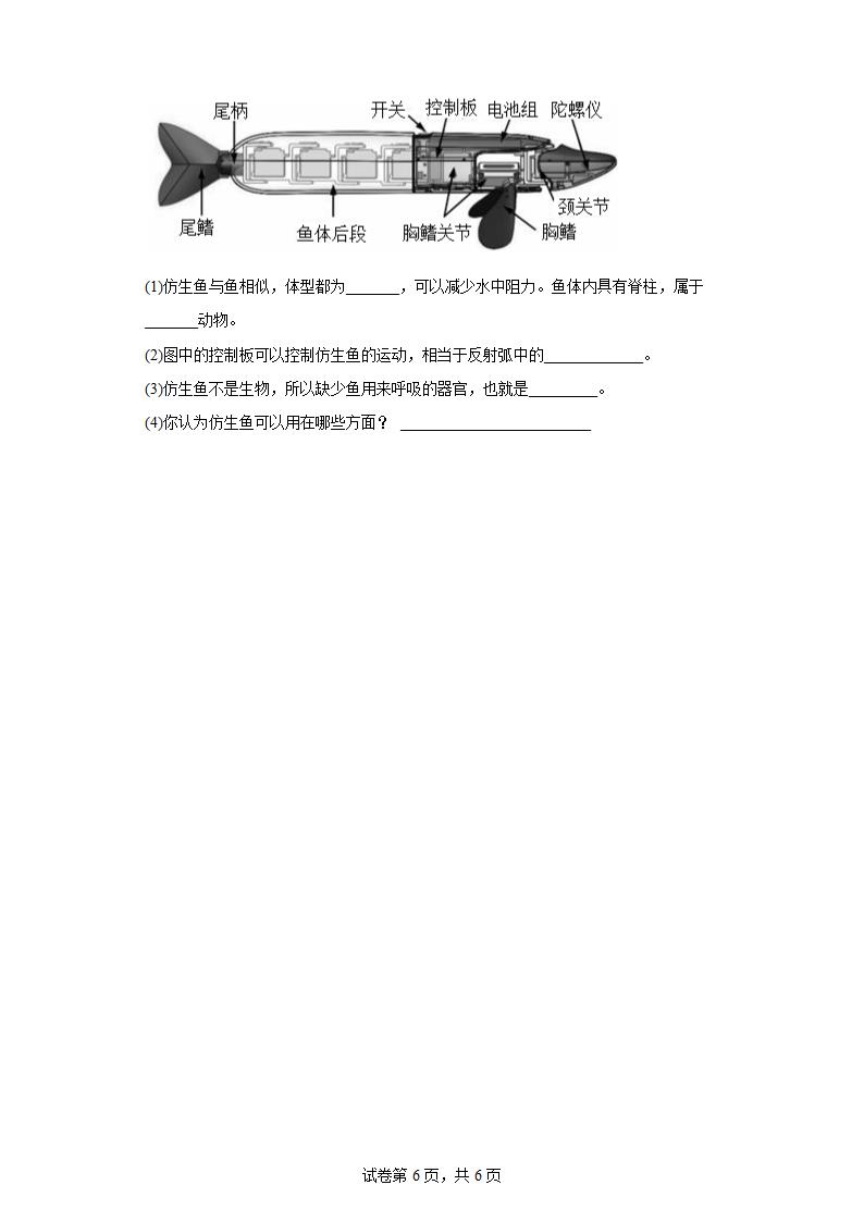 第四章 多种多样的动物 培优训练（含答案） 冀教版七年级生物上册.doc第6页