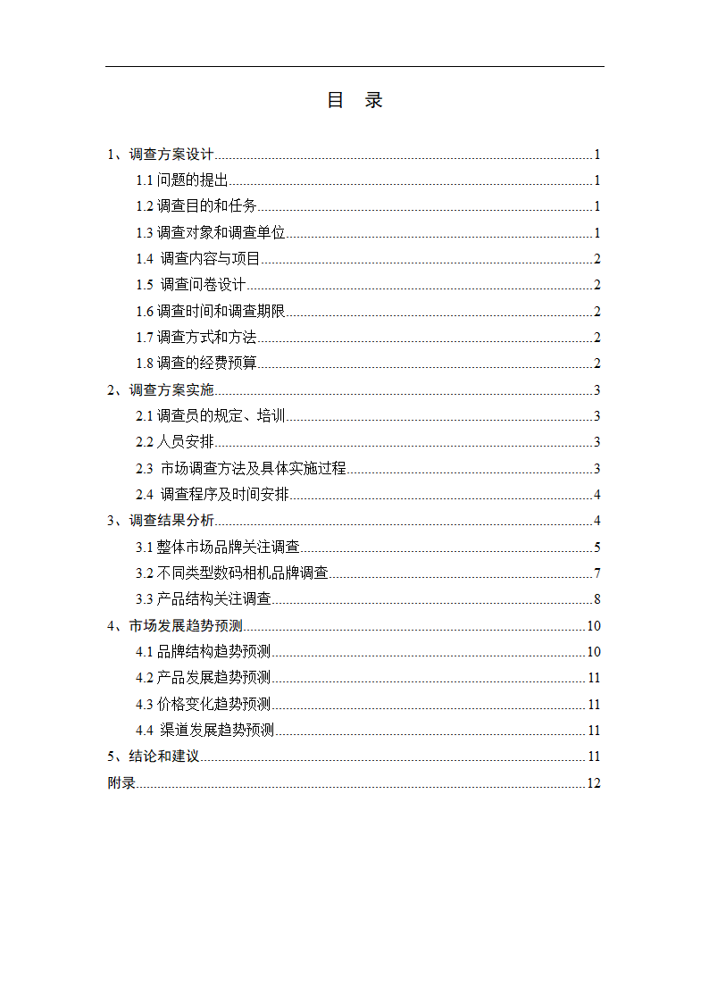 数码相机市场调查报告论文.doc第3页