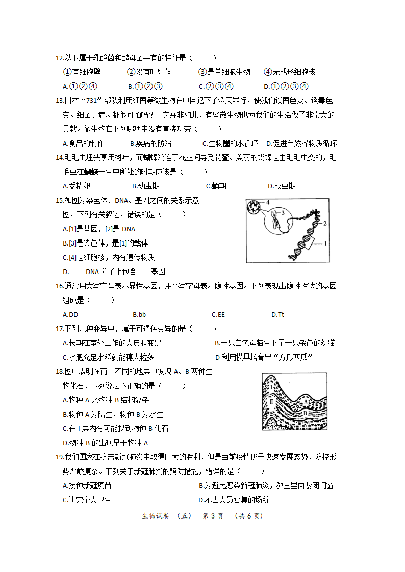 2022年河南省普通高中招生考试模拟试卷 生物（五）（word版，含答案）.doc第3页