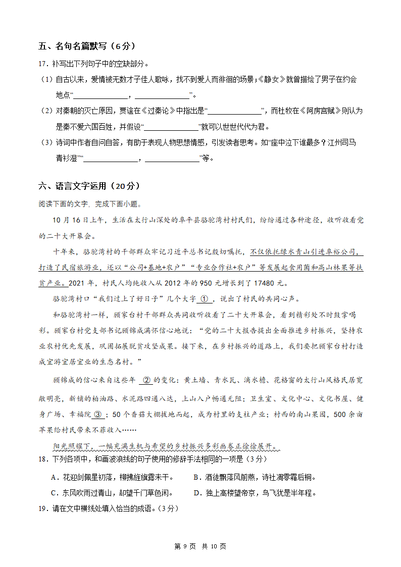 2024年新高考统编版语文模拟卷3（含解析）.doc第9页