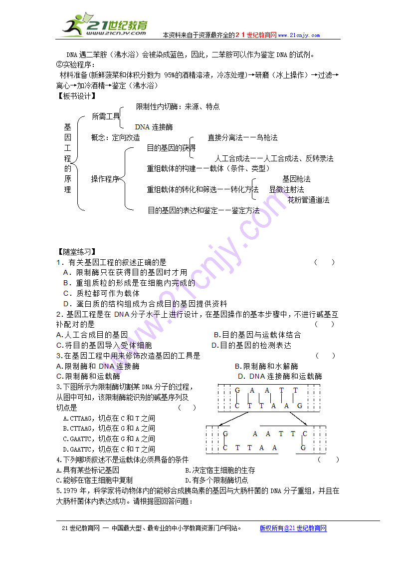 生物：1.1《基因工程的原理》教案（中图版选修3）.doc第3页