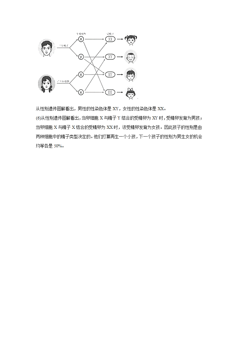 八年级下册生物苏科版同步课时作业7.22.1 生物的遗传（word版含解析）.doc第8页