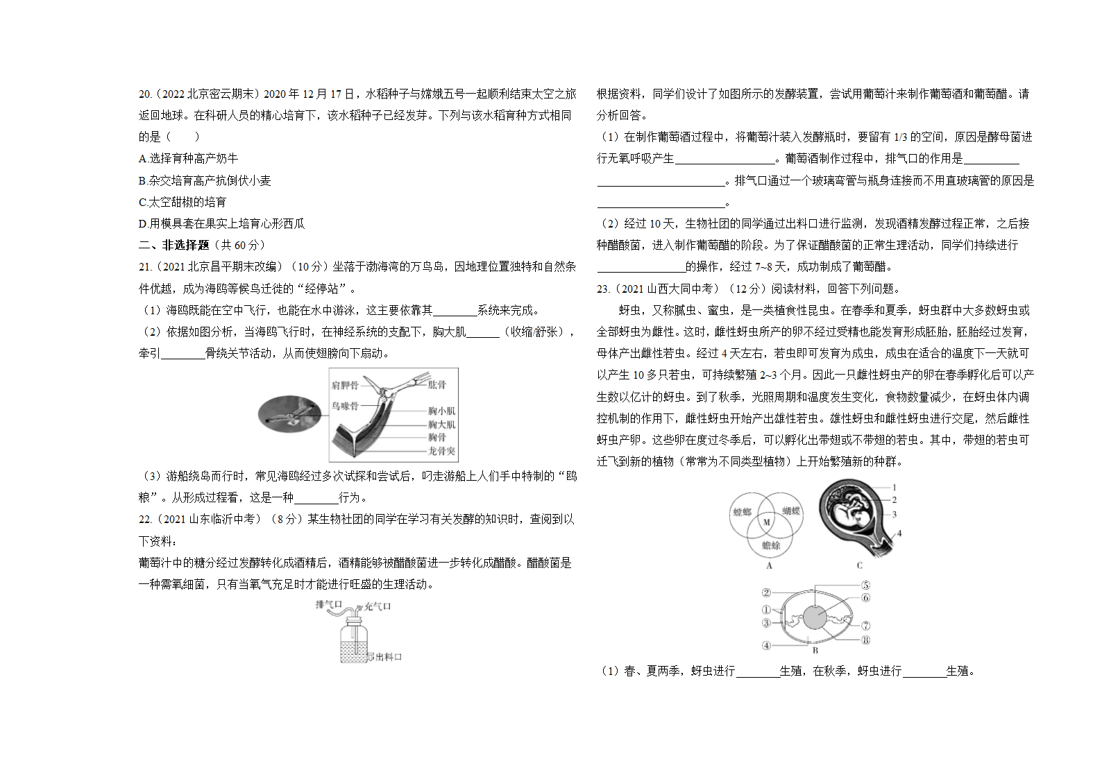 北师大版生物八年级上册期末复习精编习题(二)（含解析）.doc第3页