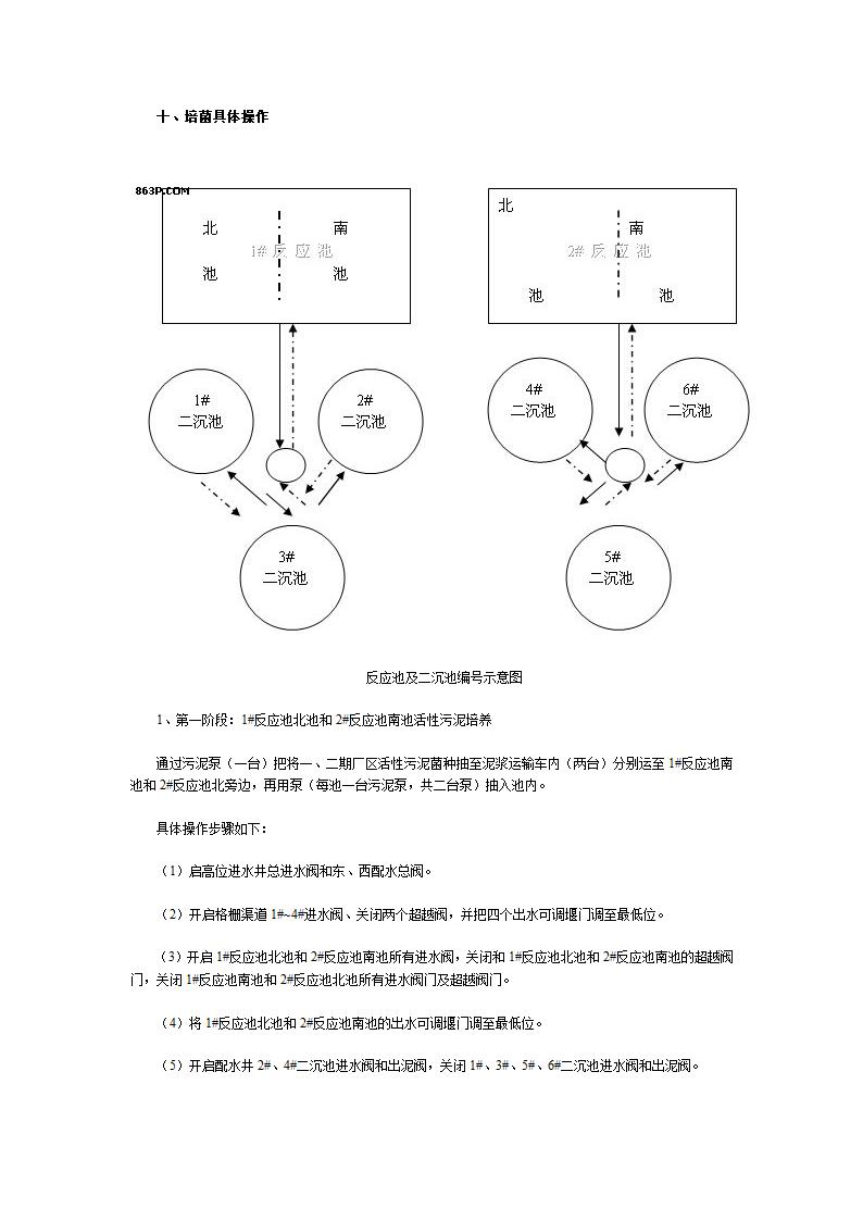 污水处理厂工艺调试培菌方案介绍.doc第3页