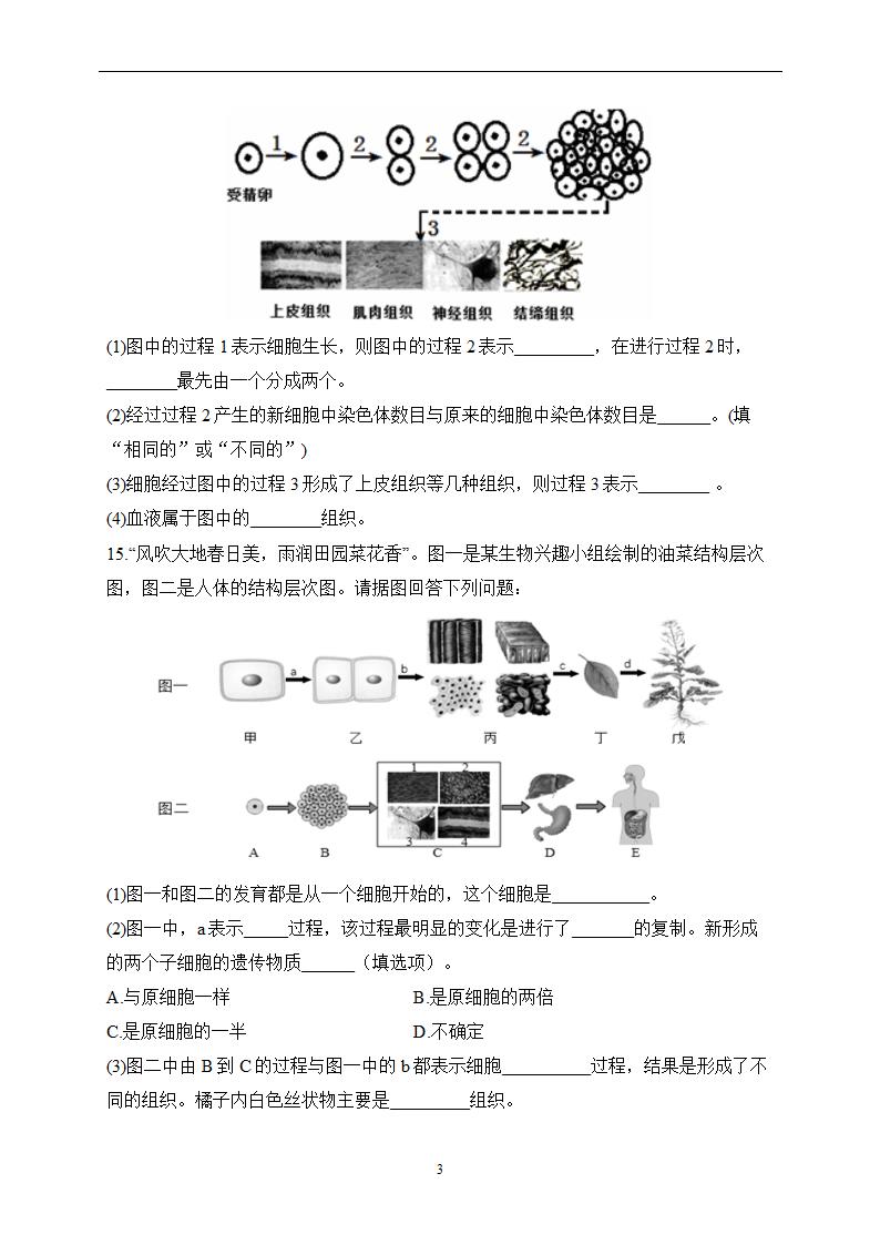 2023届中考生物高频考点专项练习：专题四 综合练习B卷（含解析）.doc第3页