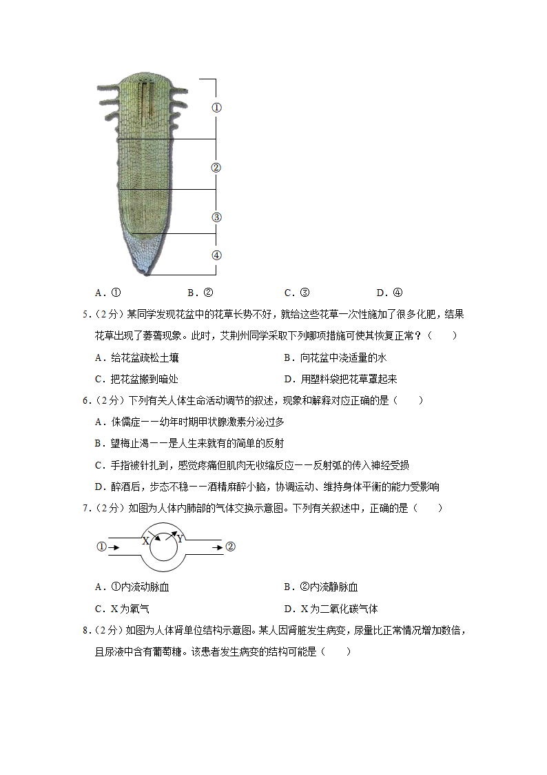 2022年湖北省荆州市中考生物试卷（word版，含解析）.doc第2页