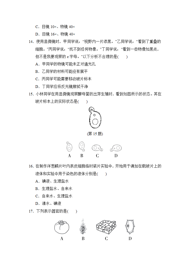 人教版生物七年级上学期第一学期期中学情评估试题（含答案）.doc第4页