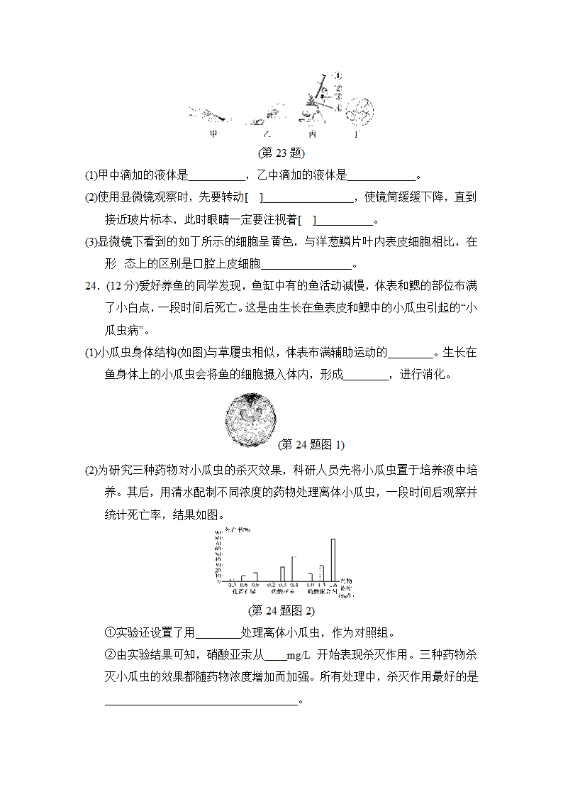 人教版生物七年级上学期第一学期期中学情评估试题（含答案）.doc第7页