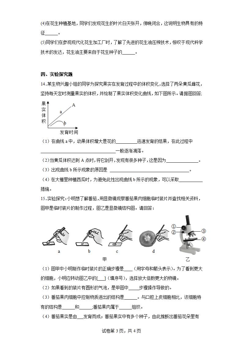 苏教版七年级上册 生物 3.5.5 植物的开花和结果 练习 （附答案）.doc第3页