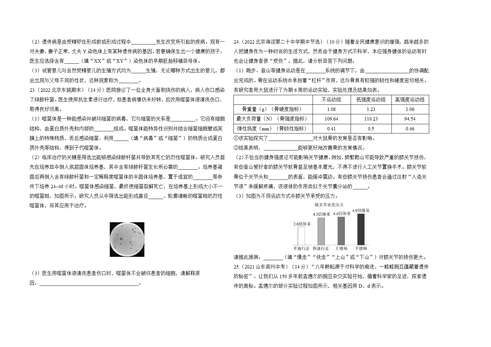 北师大版生物八年级上册期末复习精编习题(一)（含解析）.doc第4页