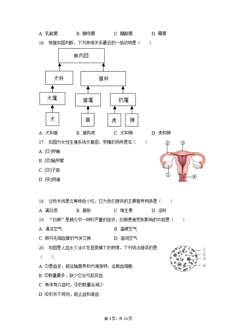 2023年云南省昭通市巧家县一模生物试卷（含解析）.doc第3页