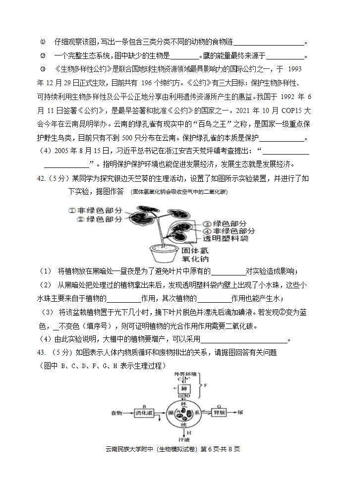 2022云南民族大学附中中考生物学模拟卷（Word版无答案）.doc第6页