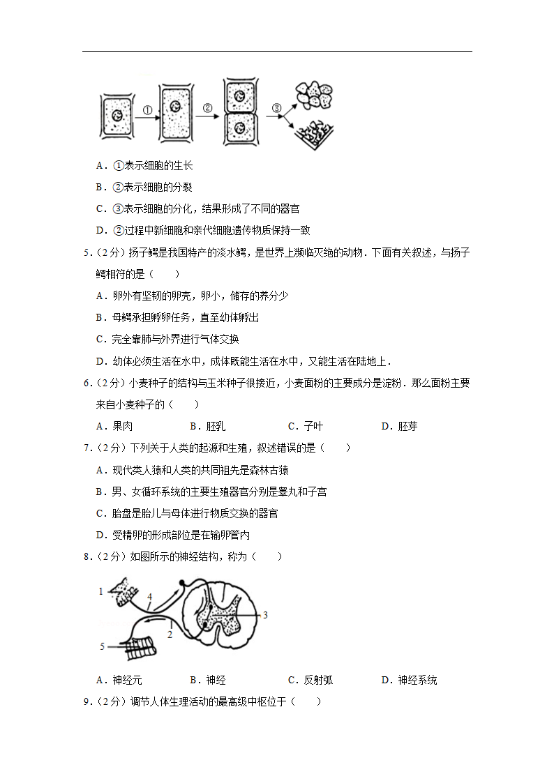 2022初中生物结业水平测试提升模拟（六）（word版 含答案）.doc第2页