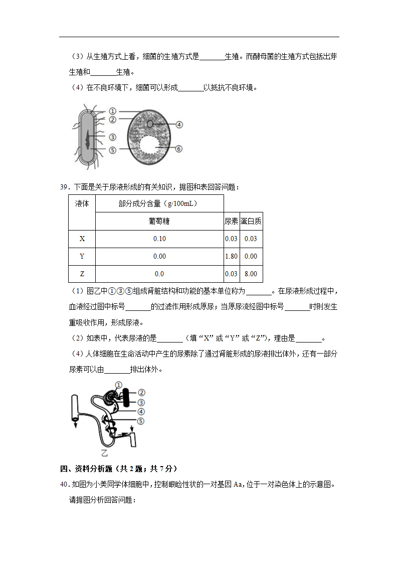 2022初中生物结业水平测试提升模拟（六）（word版 含答案）.doc第9页