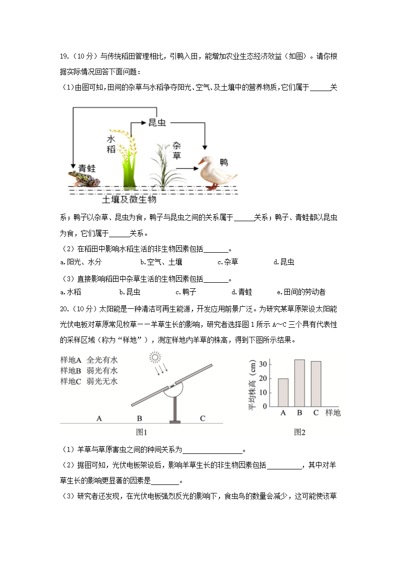 冀教版7.1生物与环境的关系基础测试卷（含答案+答题卡）.doc第4页